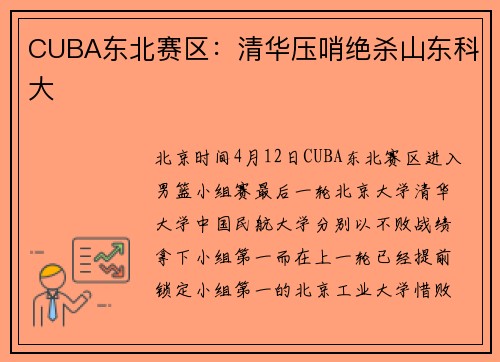 CUBA东北赛区：清华压哨绝杀山东科大