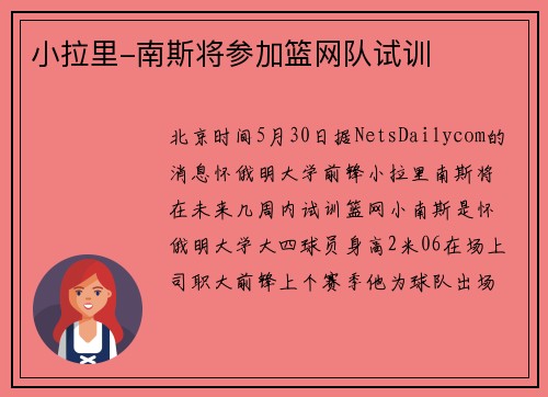 小拉里-南斯将参加篮网队试训